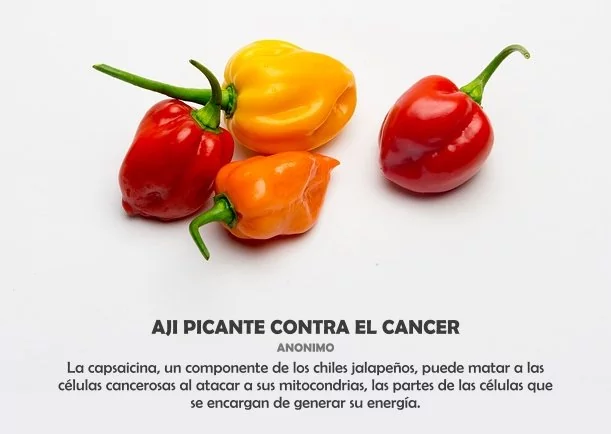 Imagen; Ají picante contra el cáncer; Sobre El Cancer