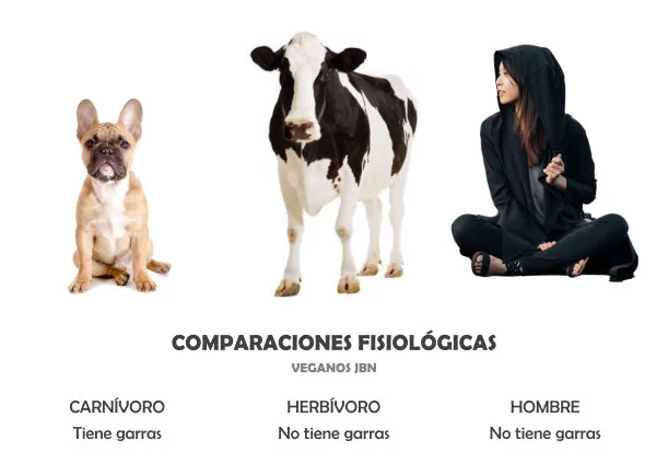 Imagen del escrito; Comparaciones fisiológicas, de Veganos