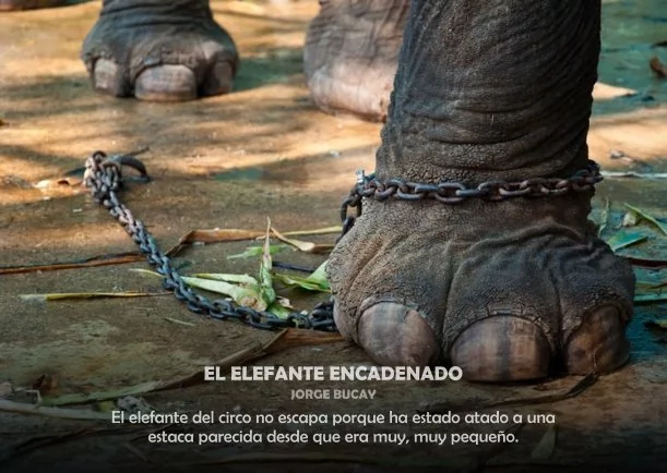 Imagen; El elefante encadenado; Jorge Bucay