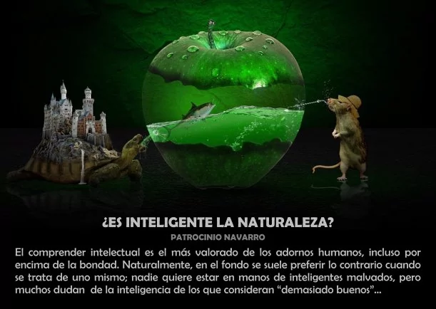 Imagen del escrito; ¿Es inteligente la naturaleza?, de Patrocinio Navarro