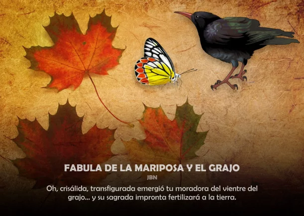 Imagen del escrito; Fabula de la mariposa y el grajo, de Cuentos Y Moralejas