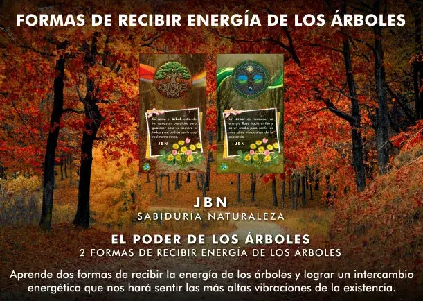 Imagen del escrito; Formas de recibir energía de los árboles, de Sobre La Energia