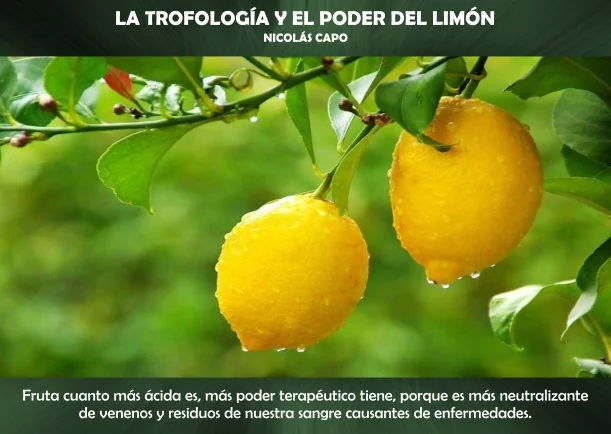 Imagen del escrito; La trofología y el poder del limón, de Sobre El Poder