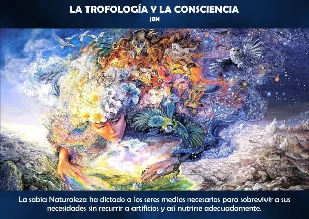 Imagen; La trofología y la consciencia; Jbn Lie