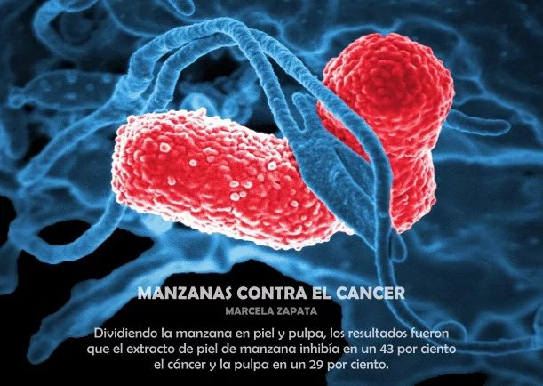 Imagen; Manzanas contra el cáncer; Sobre El Cancer