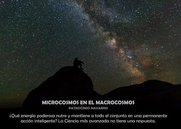 Imagen del escrito; Microcosmos en el macrocosmos, de Patrocinio Navarro