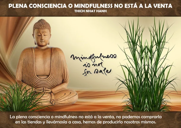 Imagen; Plena consciencia o mindfulness no está a la venta; Thich Nhat Hanh