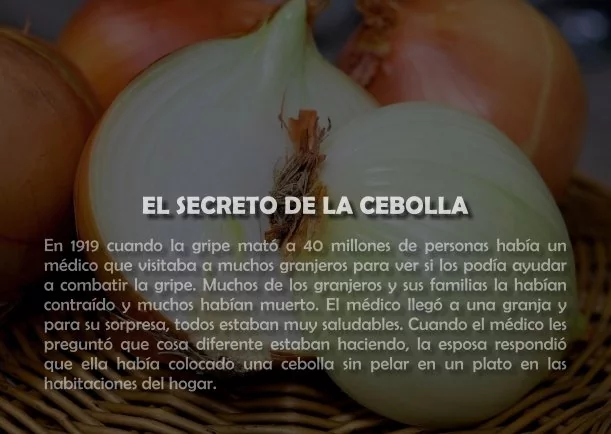 Imagen del escrito; El secreto de la cebolla, de Sobre La Salud