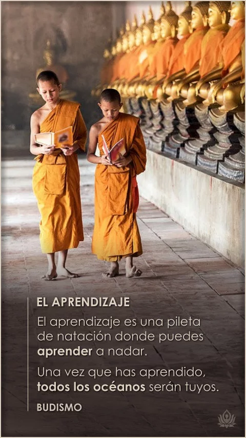 Imagen de la frase de budismo