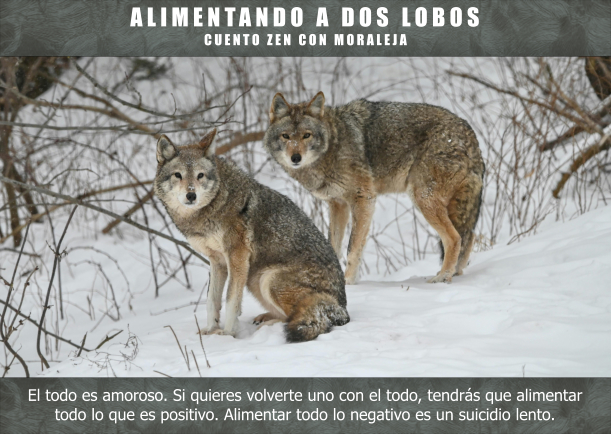 Imagen del cuento: Alimentando a dos lobos Imagen del cuento: Alimentando a dos lobos