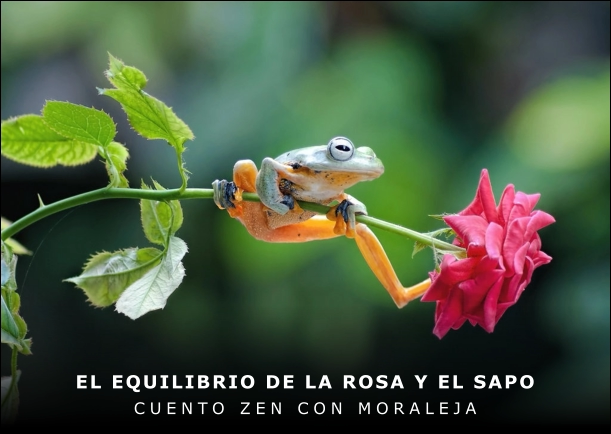 Imagen del cuento: El equilibrio de la rosa y el sapo Imagen del cuento: El equilibrio de la rosa y el sapo
