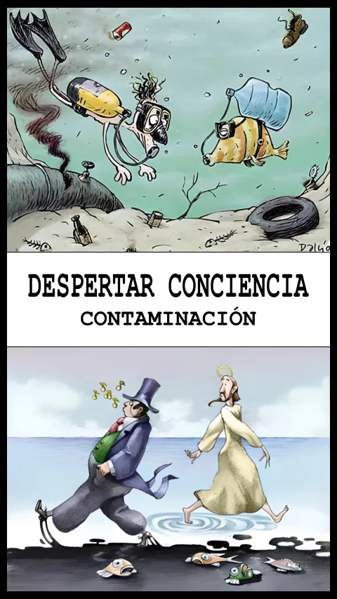 Imagen de la frase de el ambiente