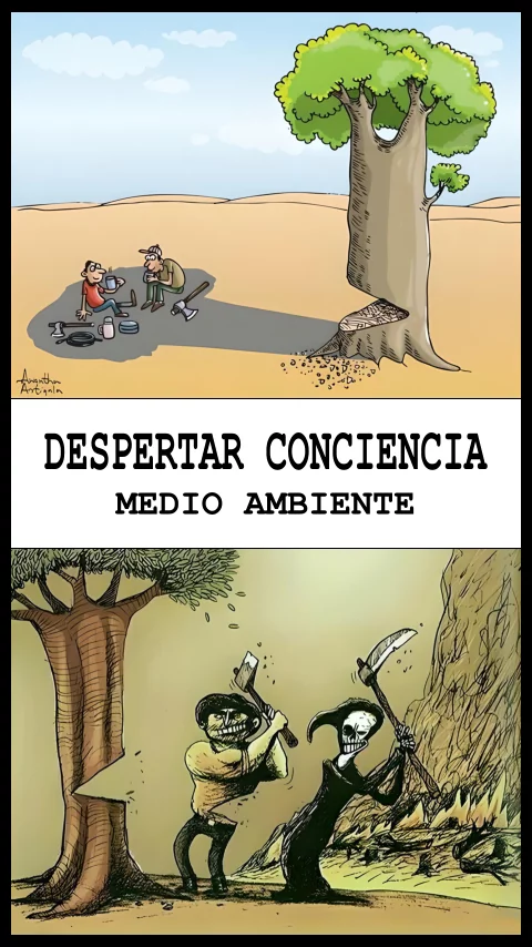 Imagen de la frase de el ambiente