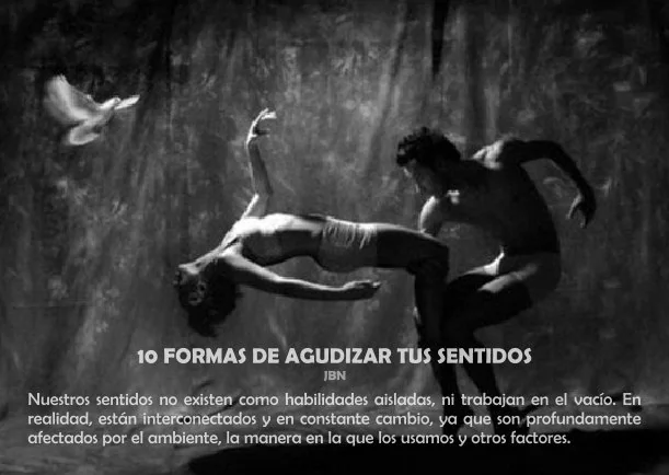 Imagen del escrito; 10 formas de agudizar tu sensibilidad, de Jbn Lie