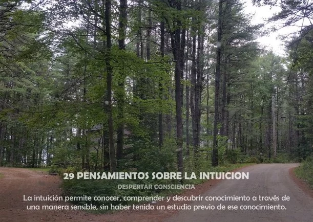 Imagen; 29 Pensamientos sobre la intuición; Despertar Consciencia