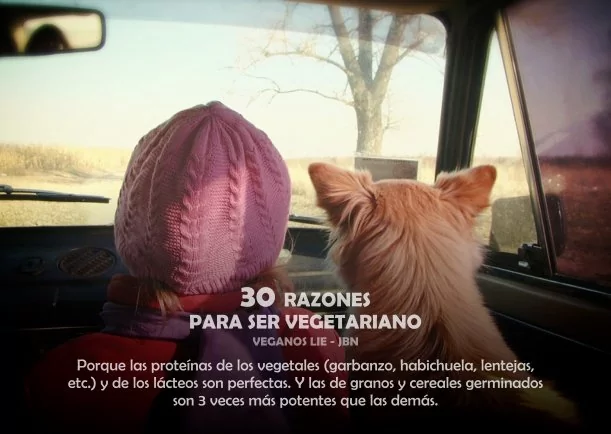 Imagen del escrito; 30 Razones para ser vegetariano, de Veganos