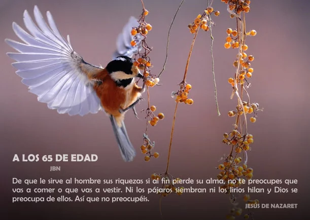 Imagen del escrito; Reflexión: A los 65 de edad, de Jbn Lie