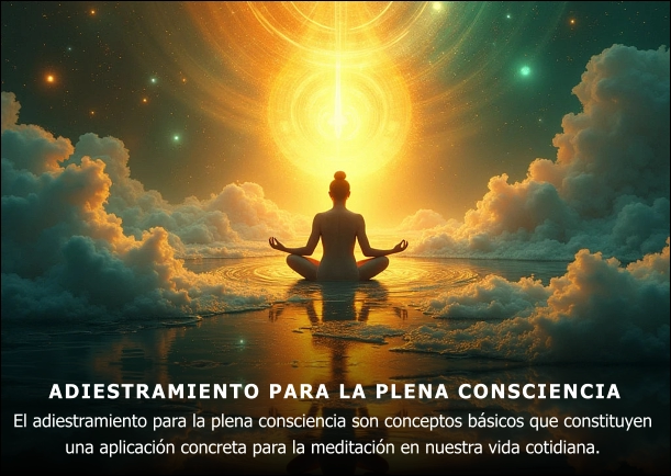 Imagen; Adiestramiento para la plena consciencia; Thich Nhat Hanh