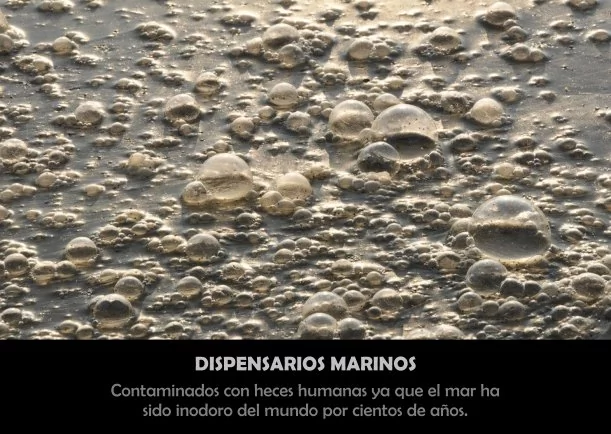 Imagen; Agua de mar dispensarios marinos; Sobre El Agua
