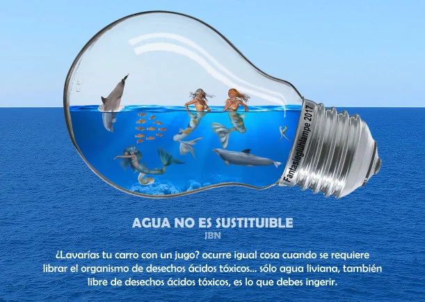 Imagen del escrito; Agua no es sustituible, de Batmanghelidj