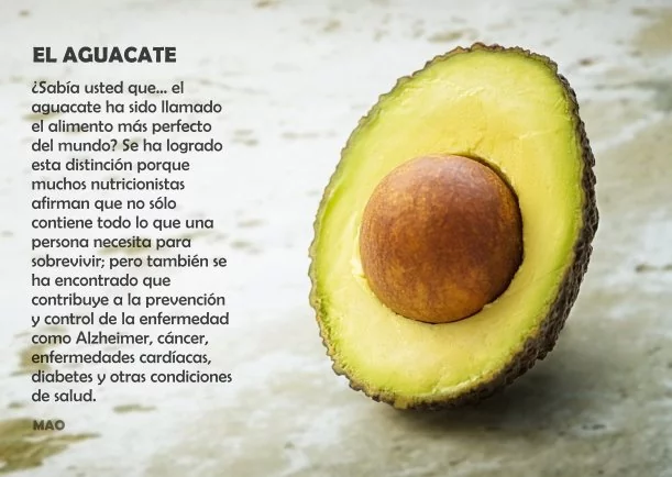 Sanación: El aguacate - POR: MAURICIO AMAYA