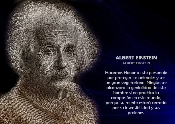 Imagen; Biografía de Albert Einstein; Albert Einstein