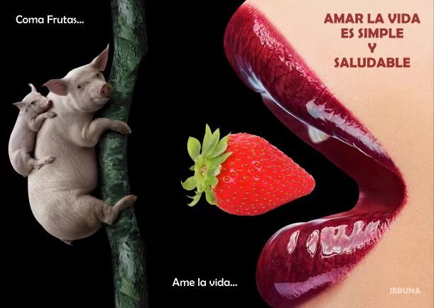 Imagen; Amar la vida es simple y saludable; Jbn Lie