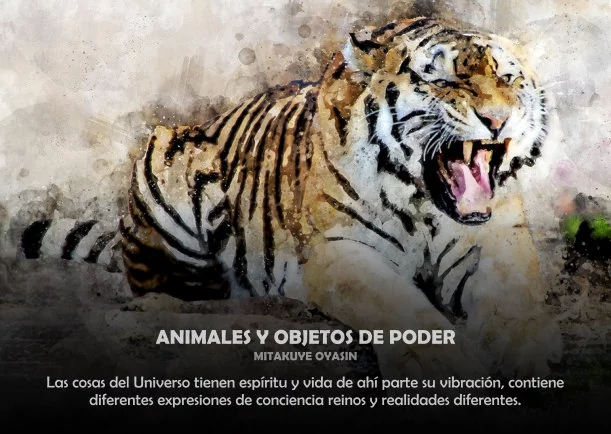 Imagen del escrito; Animales y objetos de poder, de Akashicos