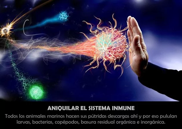 Imagen del escrito; Aniquilar el sistema inmune, de Jbn Lie