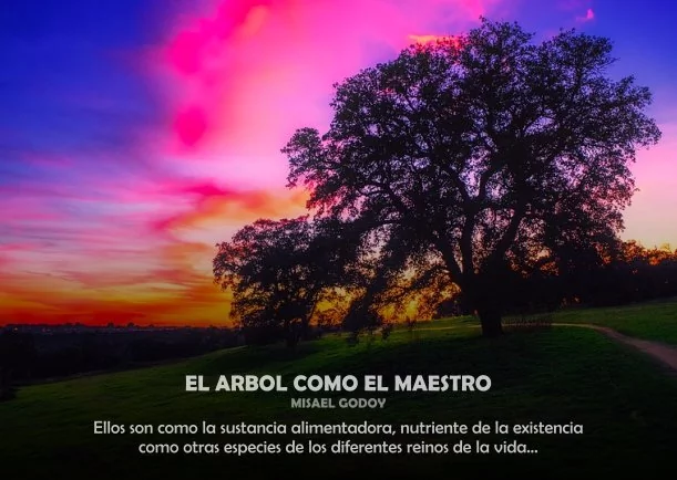 El árbol como el Maestro - POR: MISAEL GODOY