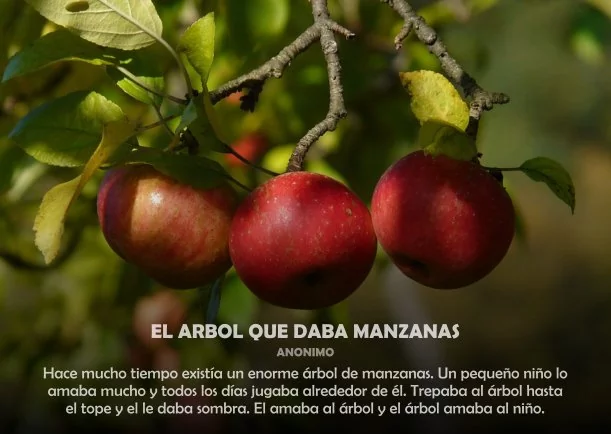 Imagen; El árbol que daba manzanas; Cuentos Y Moralejas