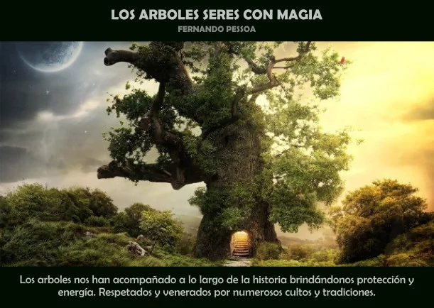 Imagen; Los arboles seres con magia; Fernando Pessoa