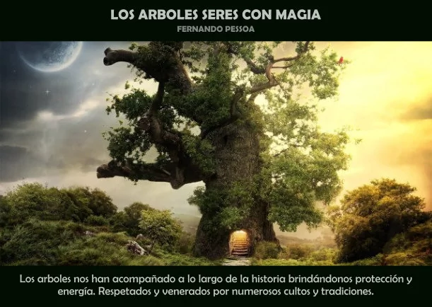 Imagen del escrito; Los arboles seres con magia, de Fernando Pessoa