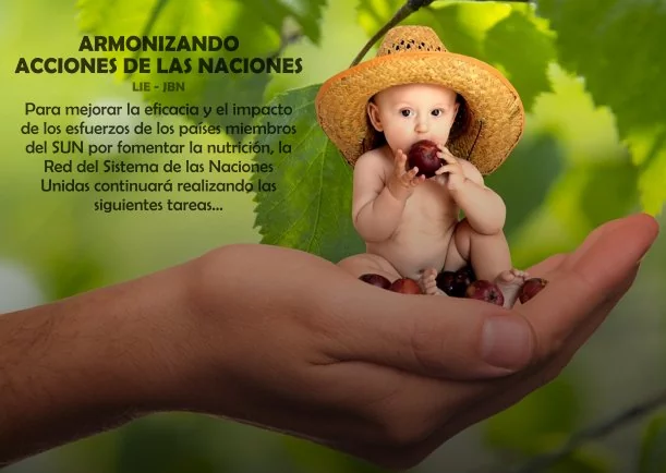 Imagen del escrito; Política: Armonizando las acciones de las naciones, de Jbn Lie