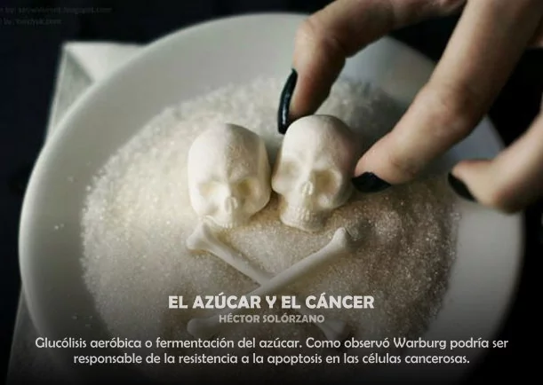 Imagen; El azúcar y el cáncer; Sobre El Cancer