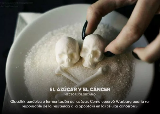 Sanación: El azúcar y el cáncer - POR: HECTOR SOLORZANO