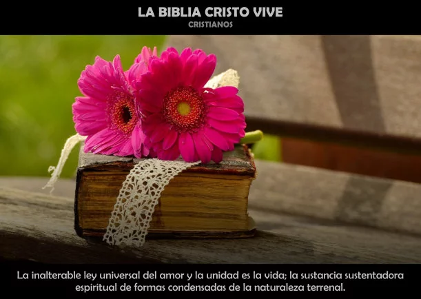 Imagen del escrito; La biblia Cristo vive, de Cristianos Originarios