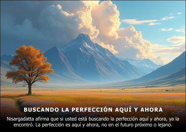 Imagen; Buscando la perfección aquí y ahora; Nisargadatta Maharaj