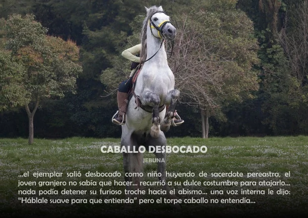 Imagen del escrito; Caballo desbocado, de Jebuna