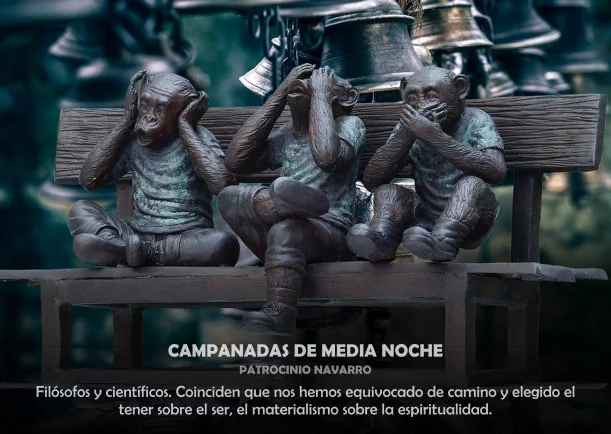 Imagen; Campanadas de media noche; Patrocinio Navarro