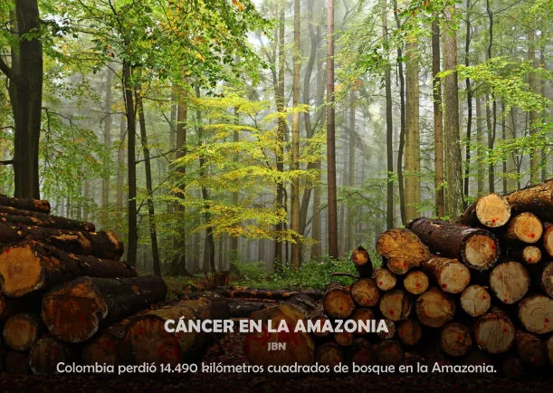 Imagen del escrito; Cáncer en la amazonia, de Jbn Lie