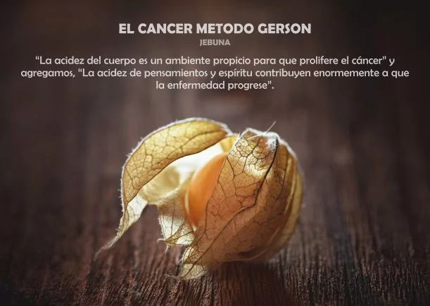 Imagen del escrito; Sanación: El cáncer método Gerson, de Yoshihiko Hoshino