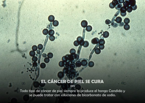 Imagen del escrito de Sobre El Cancer