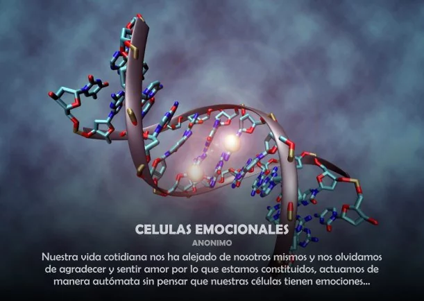 Imagen; Células emocionales; Sobre La Salud