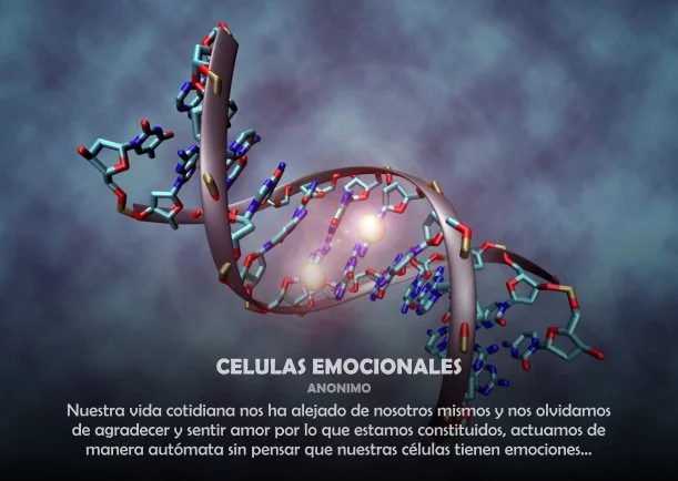 Imagen del escrito; Células emocionales, de Sobre La Salud