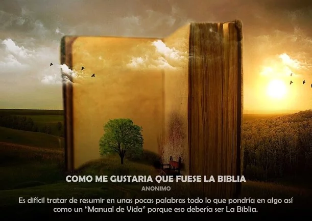 Imagen; Como me gustaría que fuese La Biblia; Sobre La Biblia