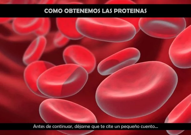 Imagen; Como obtenemos las proteínas; Jebuna