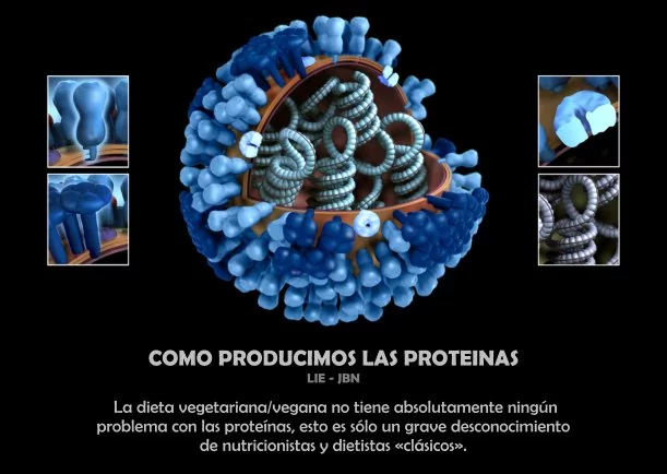 Imagen del escrito; Veganos: Como producimos las proteínas, de Jbn Lie