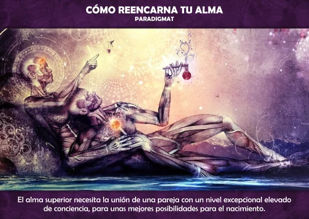 Imagen; Como reencarna tu alma; Paradigma