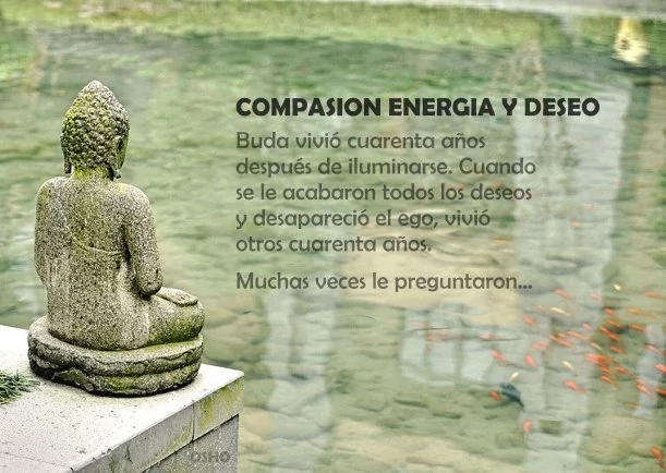 Imagen; Compasión energía y deseo; Osho